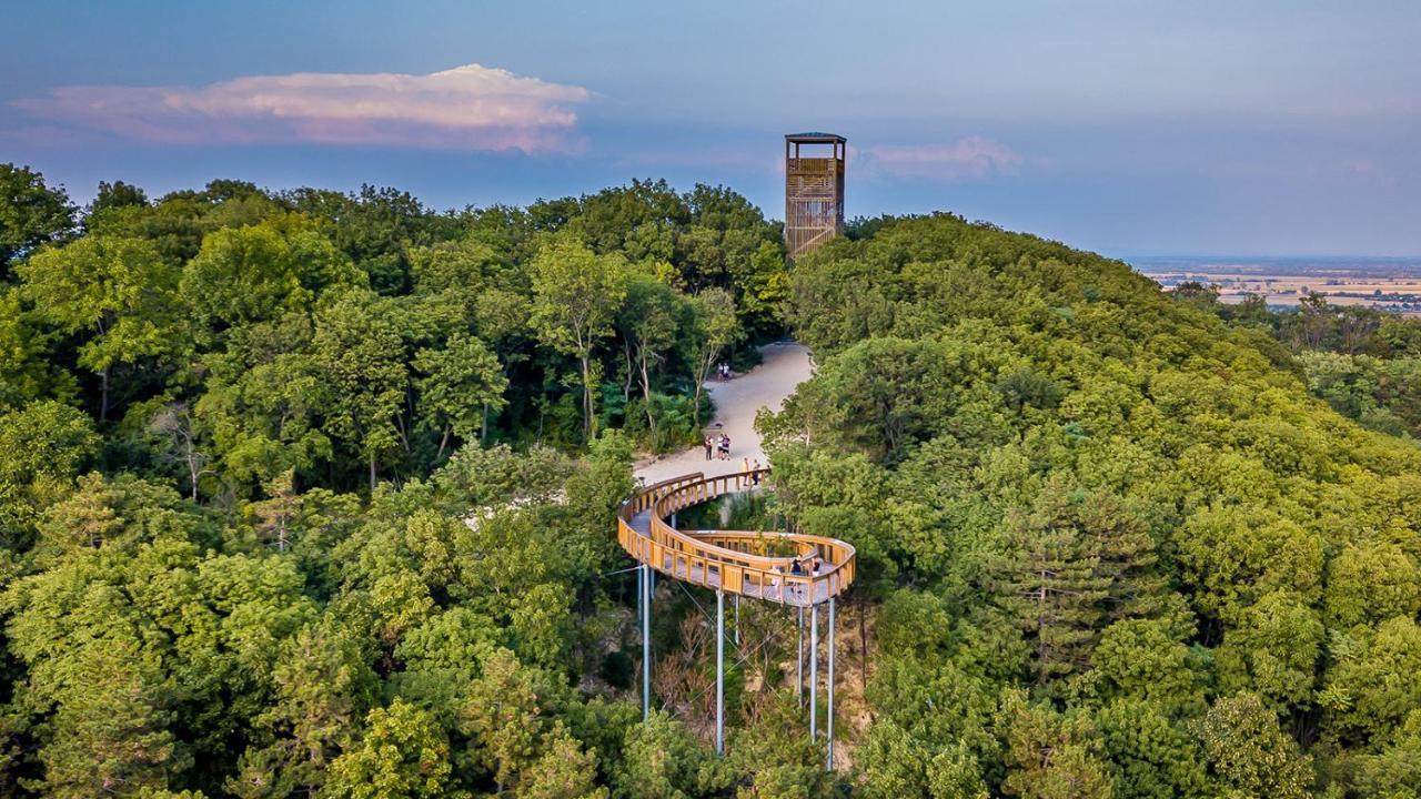 GyőrújbarátPanorama Birtok - Wellness Panzio, Konferencia Es Rendezvenykoezpont住宿加早餐旅馆 外观 照片